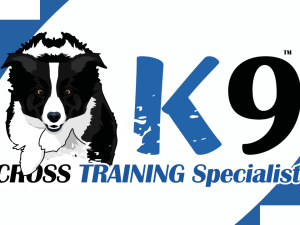 K9CTS - titoli kajabi