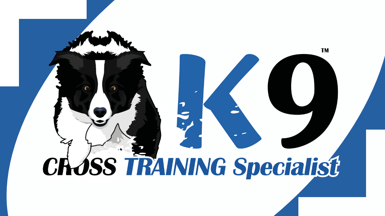 K9CTS - titoli kajabi