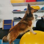 IMG_20220114_153611