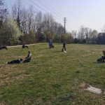 IMG_20220326_094042