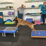 IMG_20240726_155543_011