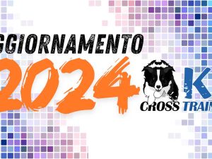 Aggiornamento K9CT 2024-sfondo (2)