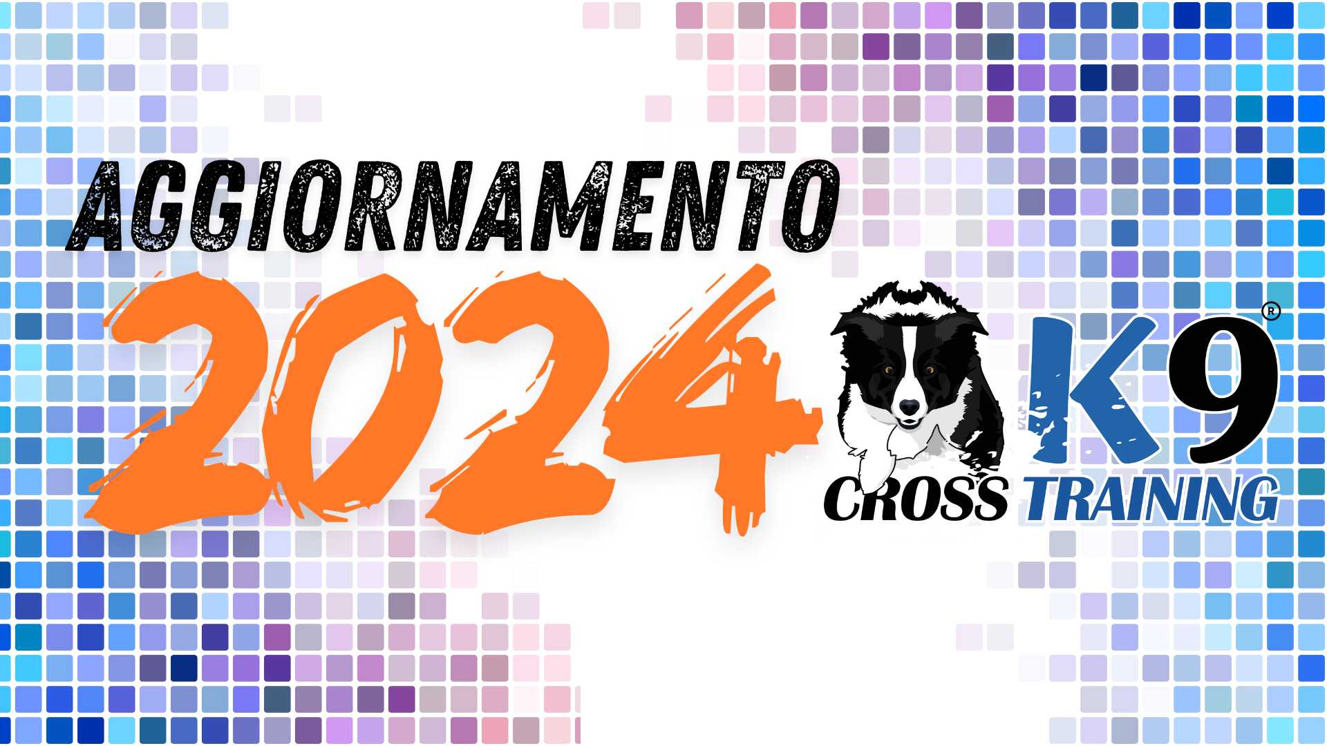 Aggiornamento K9CT 2024-sfondo (2)