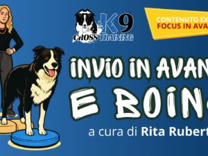 Titolo Corso RITA.jpg